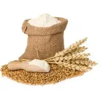 Wheat Flour